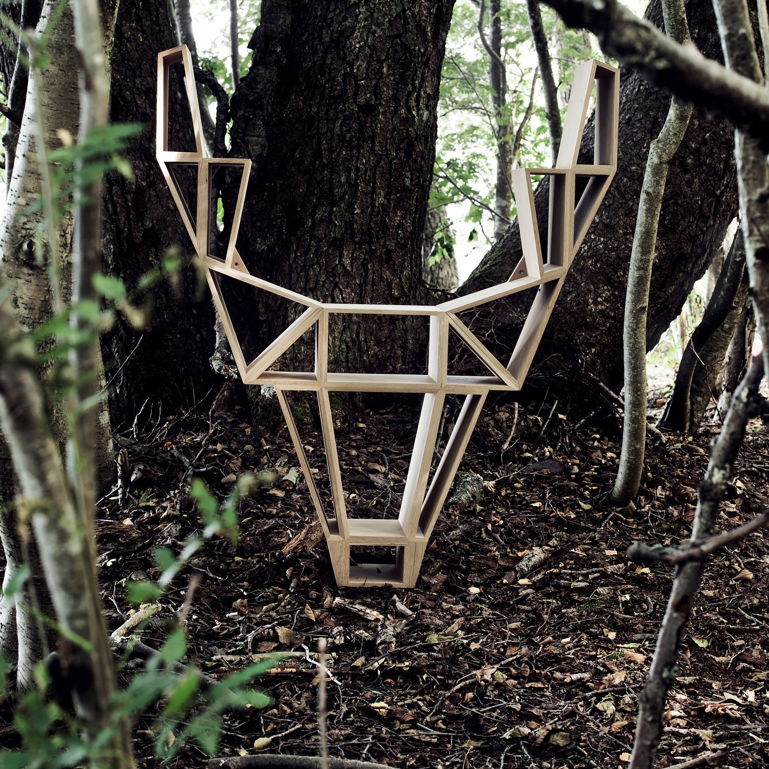 BEdesign Wandregal DEER Eiche Designregal aus Holz