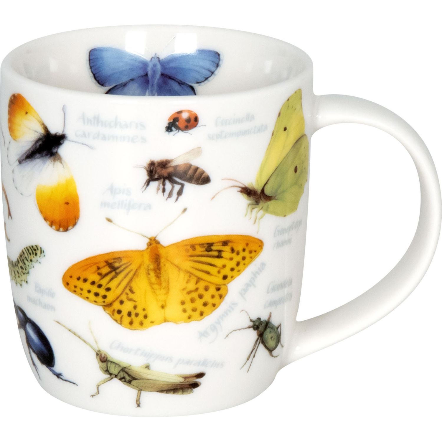 Könitz Tasse Natures Diversity Meadow Kaffeebecher aus Porzellan