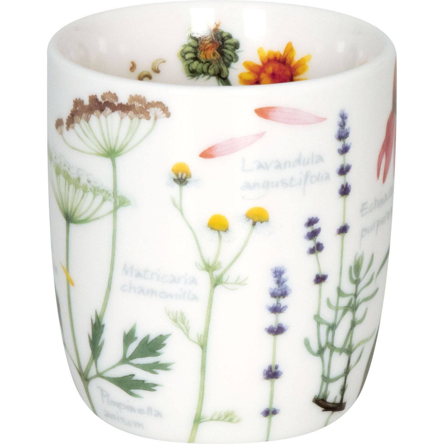 Könitz Tasse Natures Diversity Teaherbs Becher aus Porzellan ohne Griff