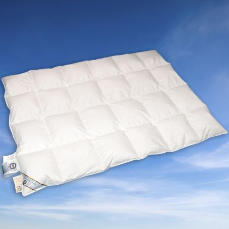 Kinder-Kassetten-Bett 4x6 Biese 100x135cm