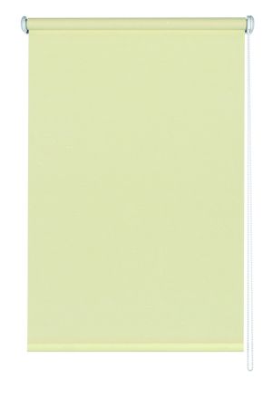 erfal Seitenzug-Rollo Tageslicht Höhe 175 cm Breite 92 cm champagner