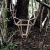 BEdesign Wandregal DEER Eiche #4
