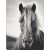 Biederlack Decke Animal Love Silver 150x200cm #1