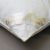 Kassettenbett 4x6 Federbett Goldbiese #2