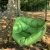 purple Frog Hängesessel Moonboat Outdoor Summer Lime #2