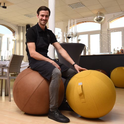 VLUV VEEL Lederimitat-Sitzball 60-65cm Cognac ergonomisches Sitzmöbel Elegant wie Leder samtig wie Stoff